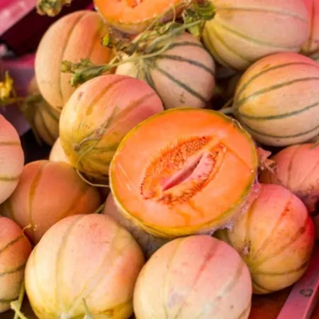 Sea Breeze Lägenhet *